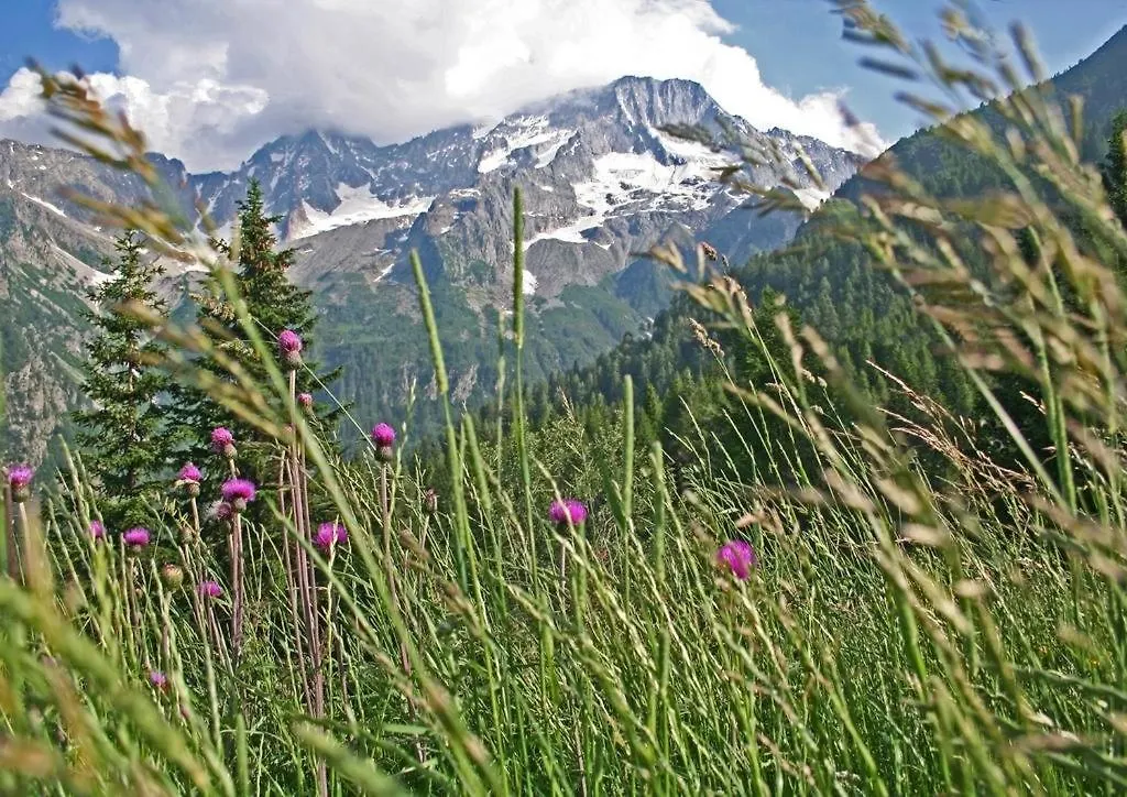 Ski&Bike Apartment Passo Tonale Passo del Tonale 0*,